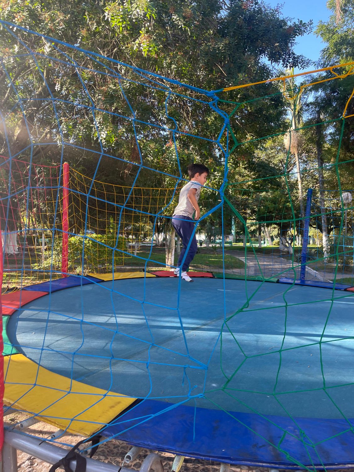 Ação de Dia das Mães movimenta Esquina Democrática de Camaquã neste Domingo #TriJuntos 