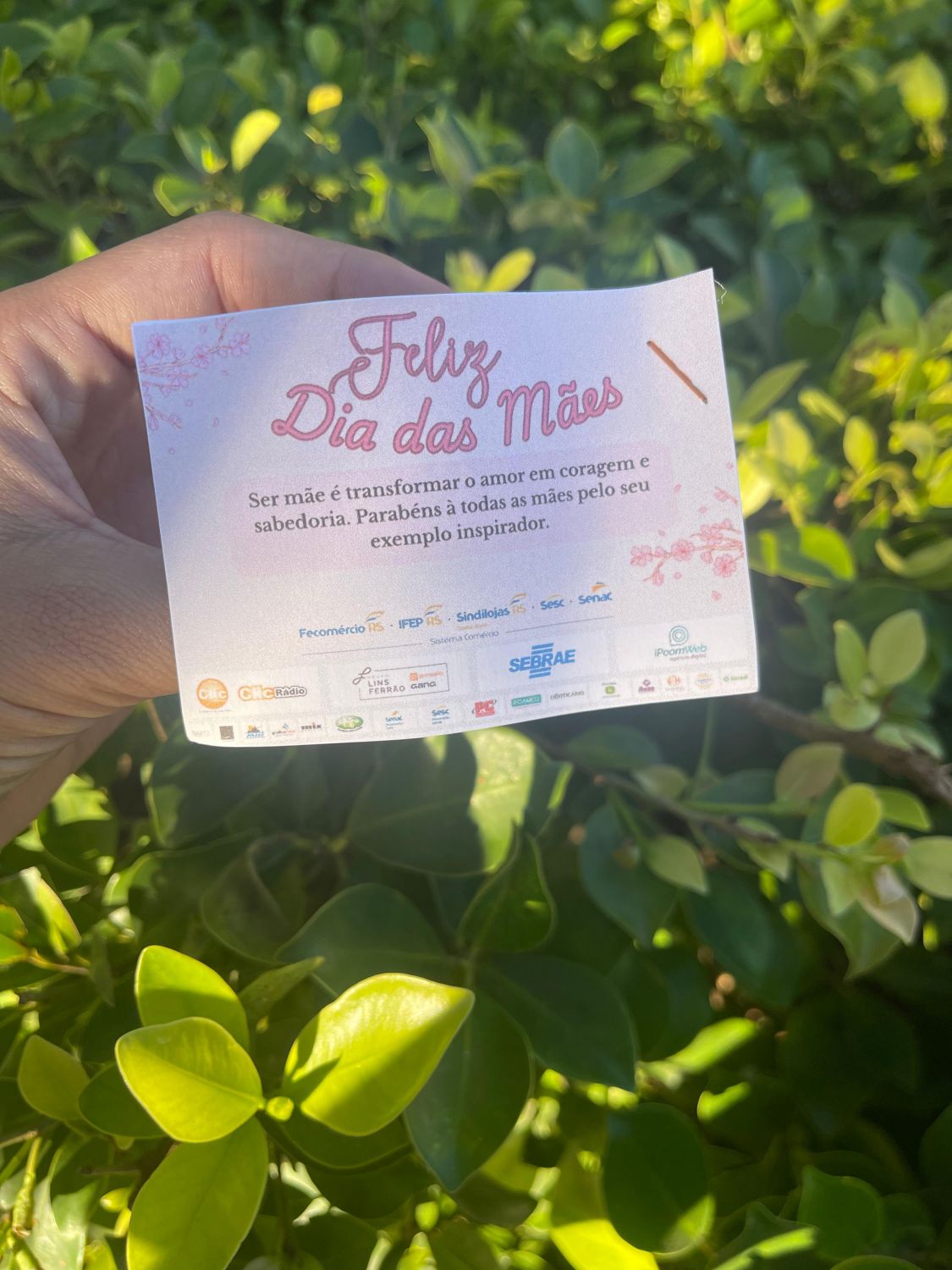 Ação de Dia das Mães movimenta Esquina Democrática de Camaquã neste Domingo #TriJuntos 